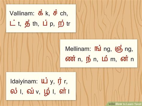 tamil vallinam mellinam idaiyinam|Tamil script